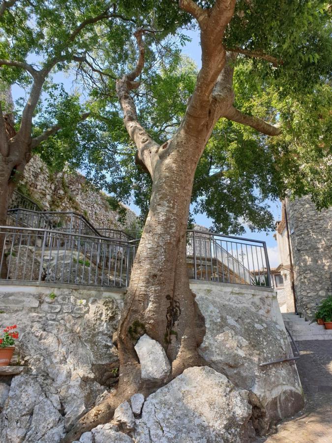 Вилла Casa Di Mamma Rosa Castelnuovo Parano Экстерьер фото